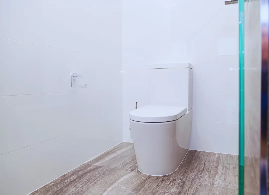 Remplacement de wc Pézenas